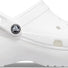100 WHITE