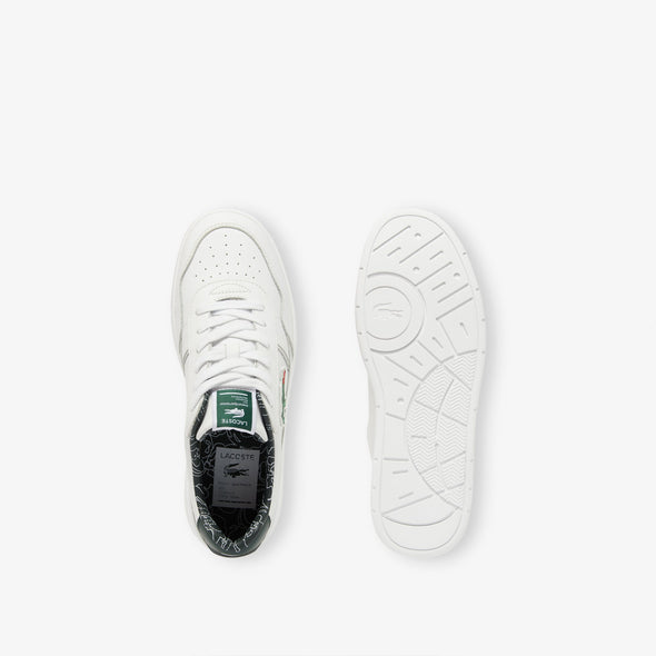 Aceclip premium zapatilla