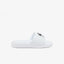 147 WHT/BLK