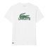 737 WHITE/GREEN