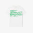 001 WHITE